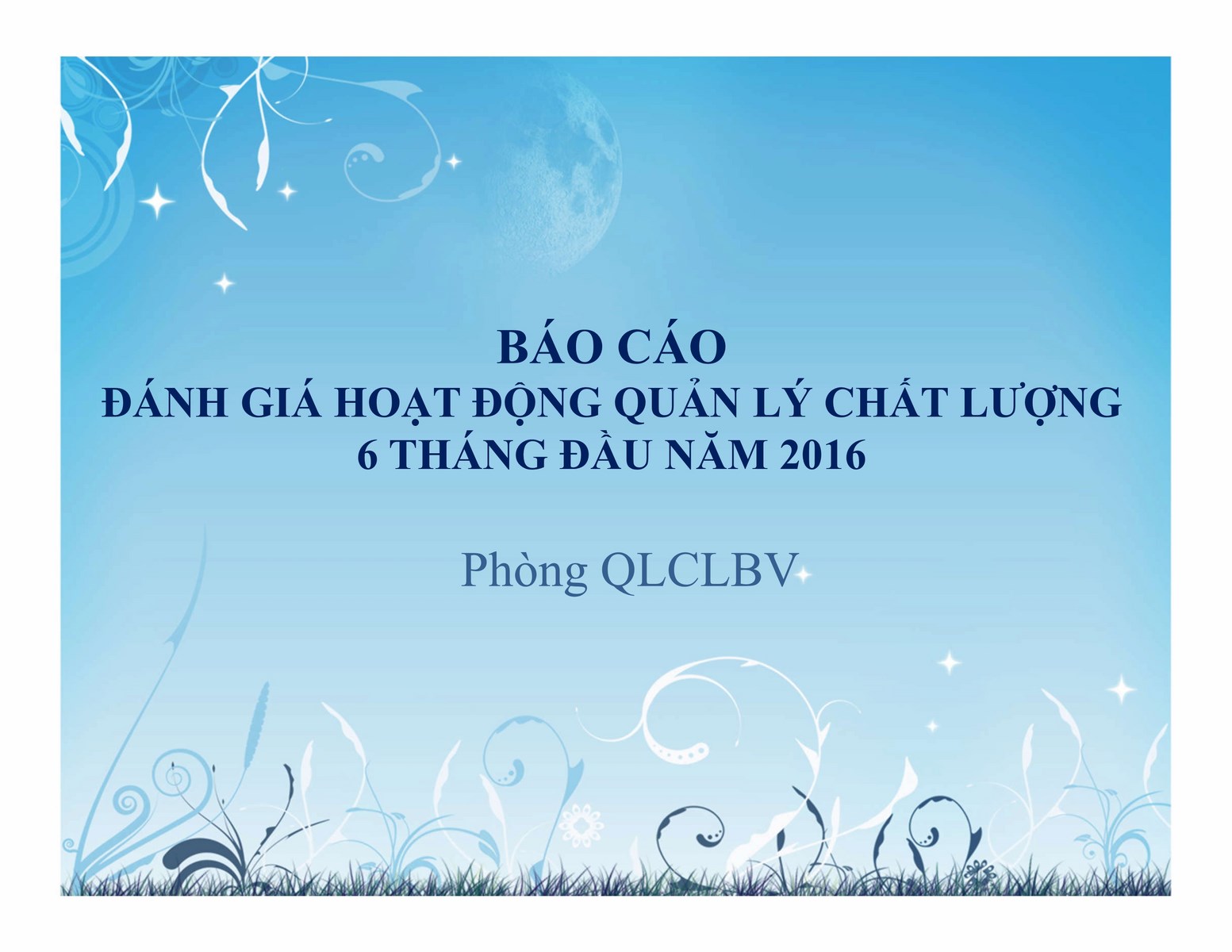 Báo cáo đánh giá hoạt động quản lý chất lượng 6 tháng đầu năm 2016