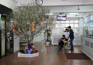 Tết ở bệnh viện