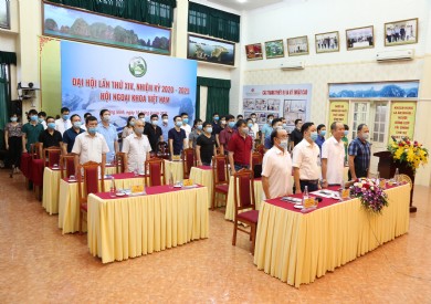 Đại hội trực tuyến Hội Ngoại khoa Việt Nam lần thứ XIV và Hội Phẫu thuật nội soi & Nội soi Việt Nam lần thứ IV