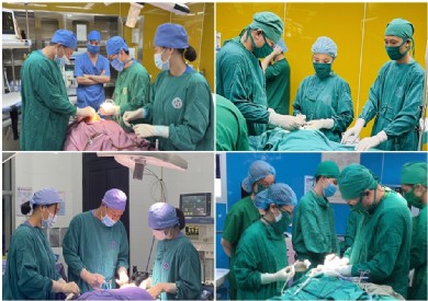 Đẩy mạnh công tác đào tạo - chỉ đạo tuyến: Tạo đột phá chuyên ngành Răng hàm mặt
